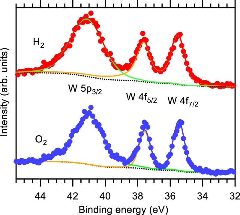In situ formation and characterization of oxygen vacancies in SnO2 and ...