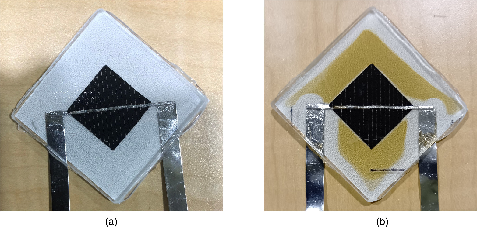 Highly designed photovoltaic modules using black back sheet with IR ...