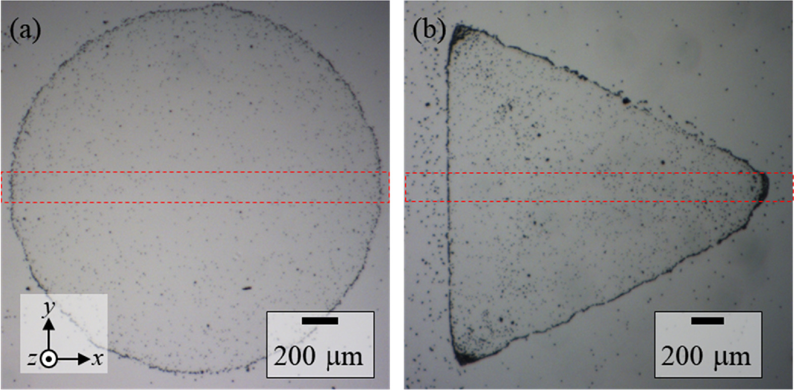 Spontaneous localization of microspheres within drying droplets on ...