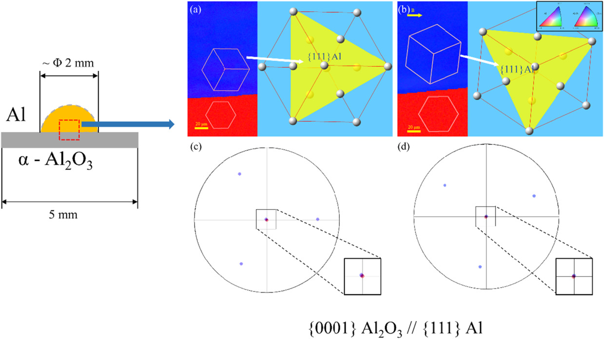 Heterogeneous nucleation behavior of Al on single crystal {0001}Al2O3 ...