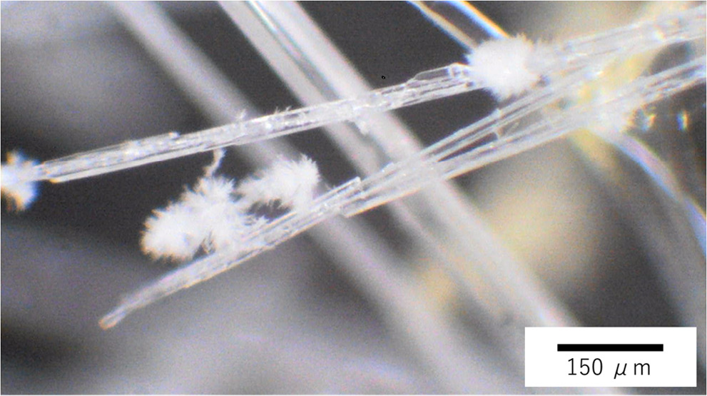 Fabrication of needle-like crystals using zinc acetylacetonate under ...