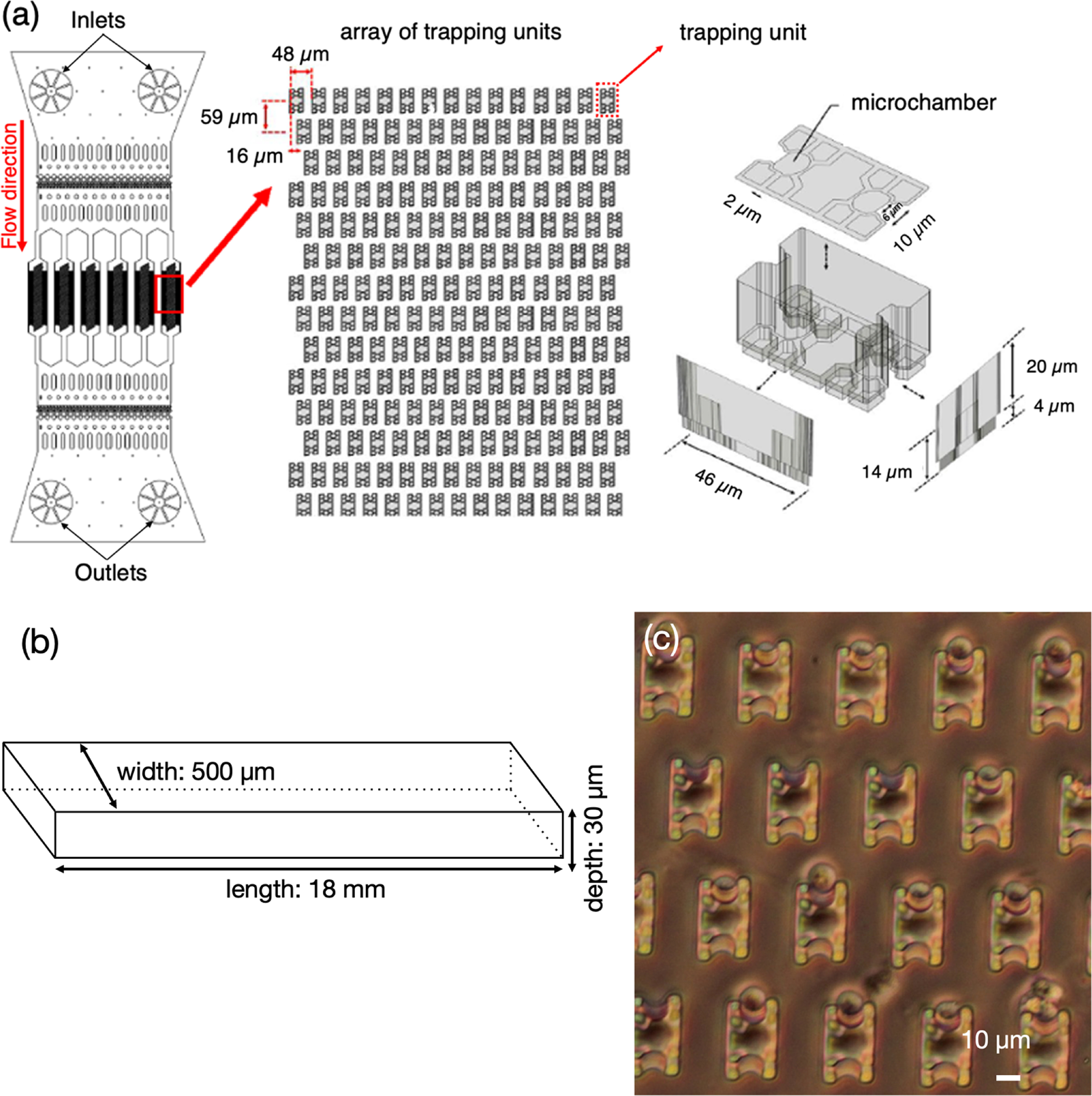 Label-free single cell analysis in microfluidics using digital ...