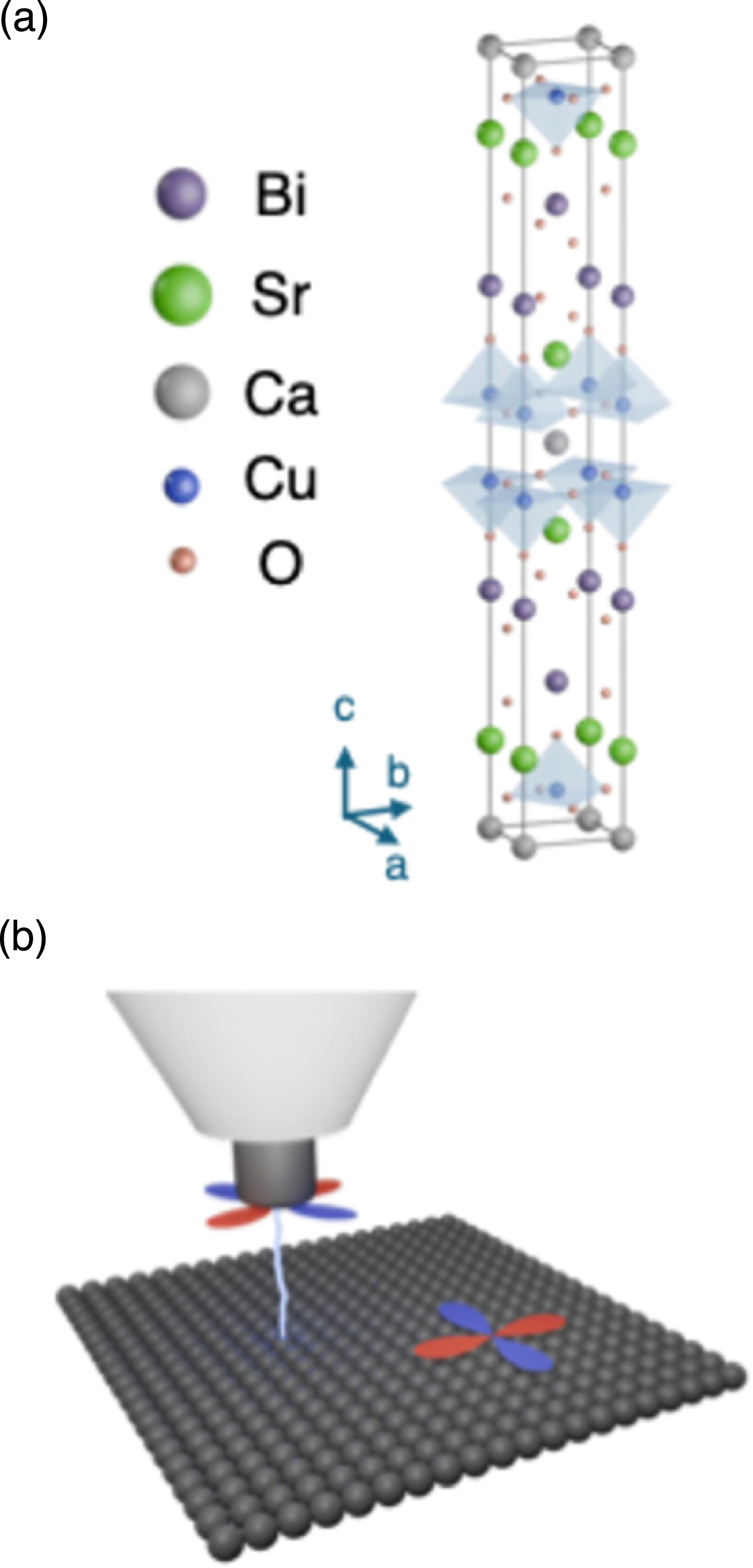 Development of a functional probe based on the high-temperature ...