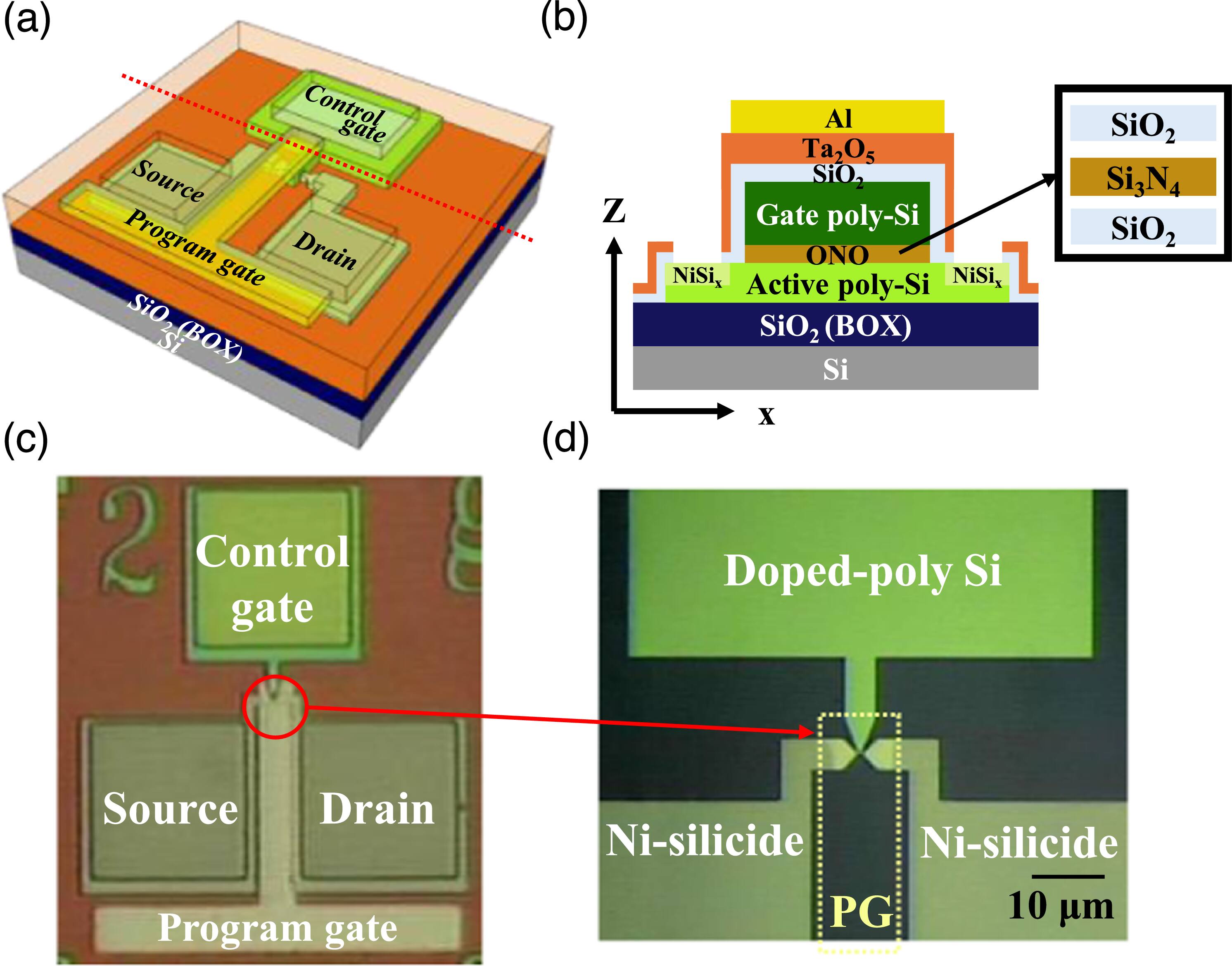 Dual-mode NiSix Schottky junction RFET-based charge-trap memory with ...