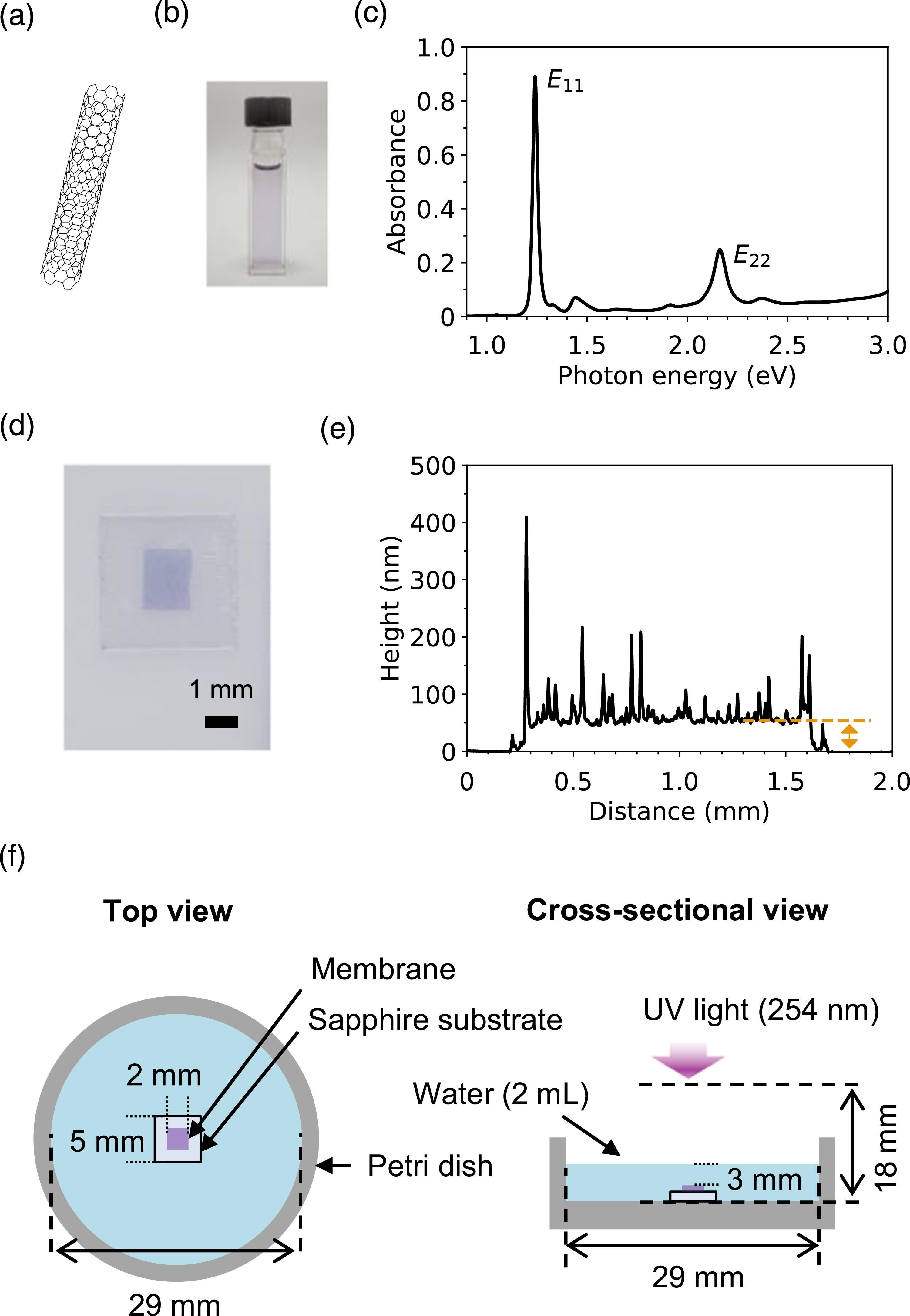 Generation of luminescent defects in structure-sorted carbon nanotube ...
