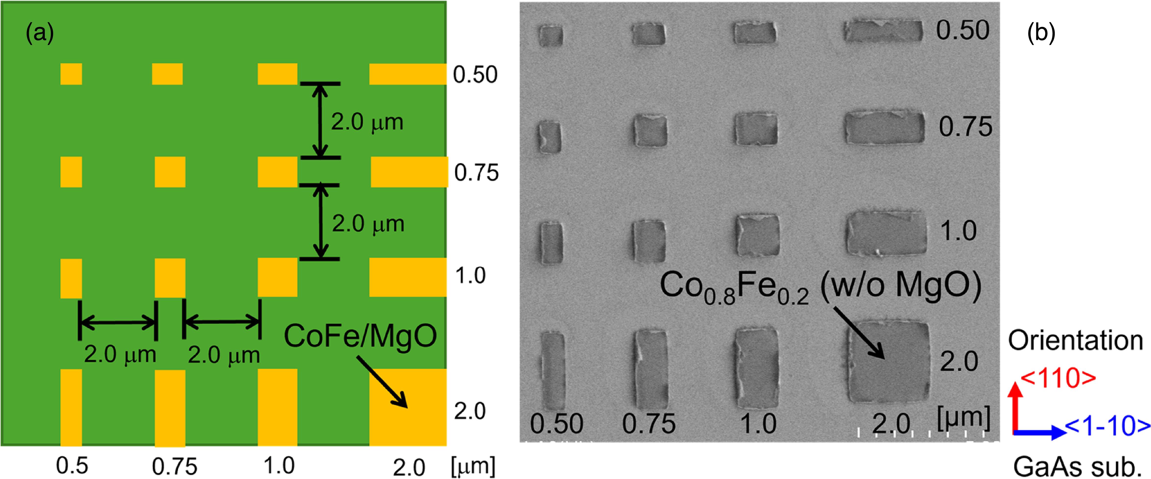 Substrate materials dependence of magnetic domain formation in CoFe ...