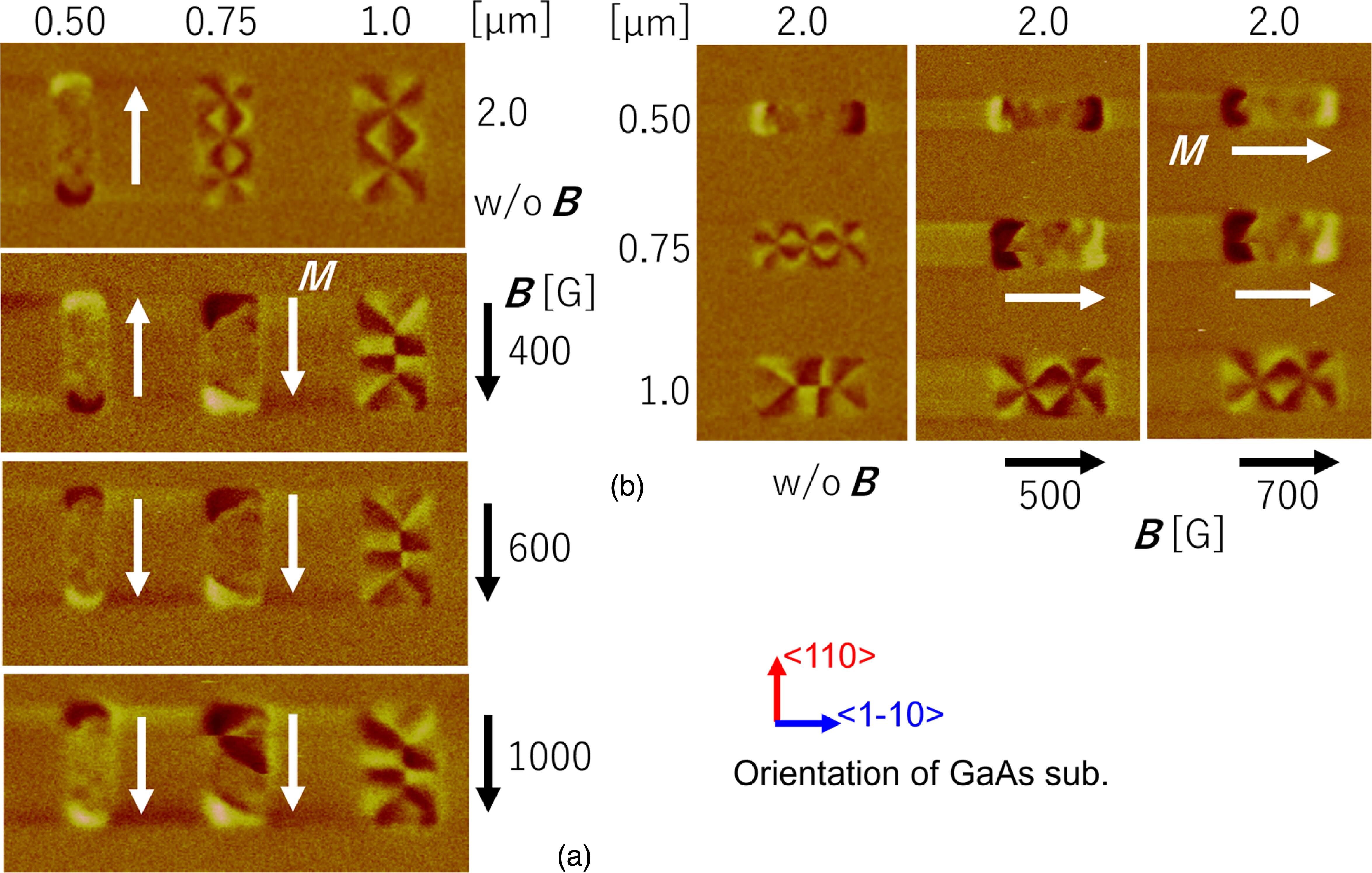 Substrate materials dependence of magnetic domain formation in CoFe ...
