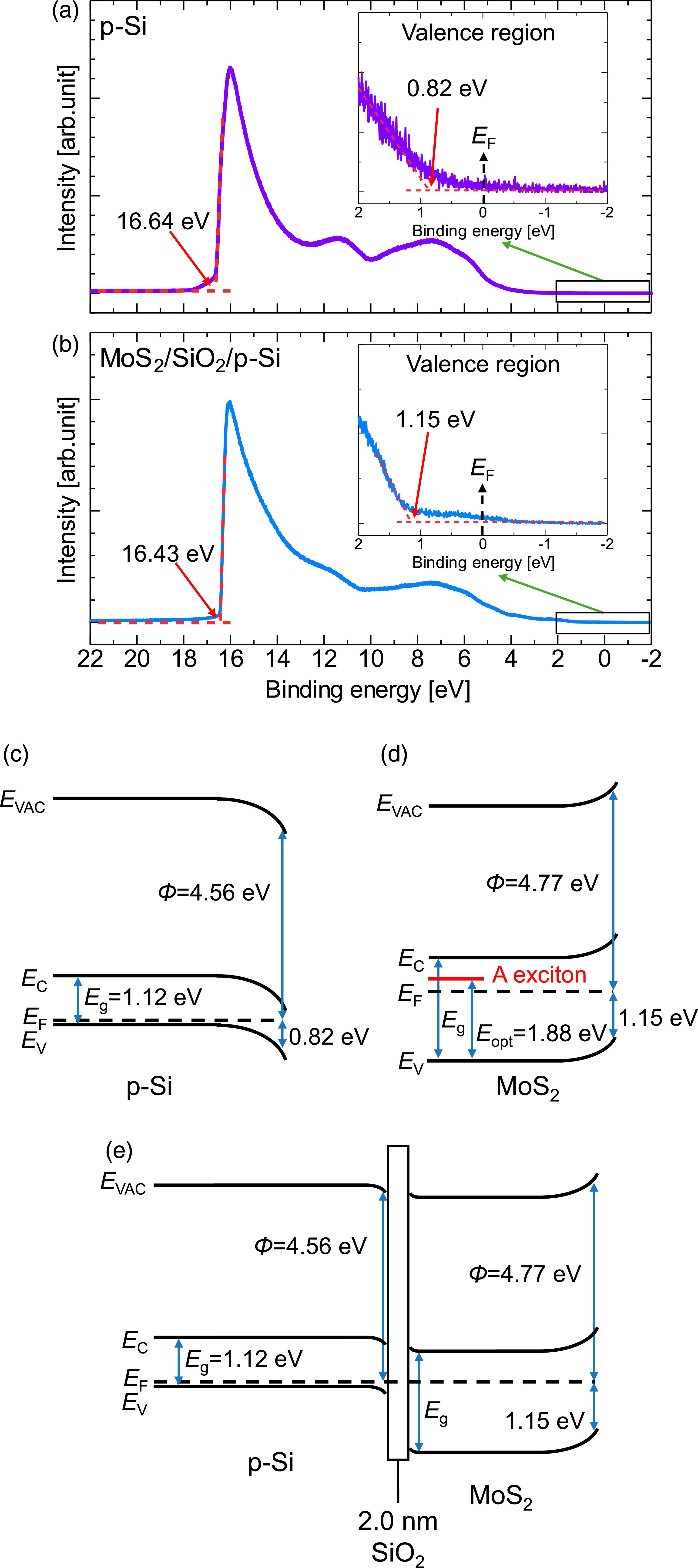 Interfacial Sio2 Layers Development of MoS2/SiO2/p-Si heterojunctions with an interfacial SiO2 ...