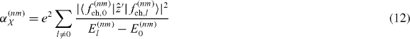 Equation (12)