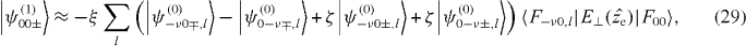 Equation (29)