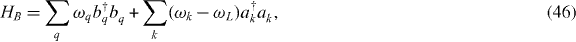 Equation (46)