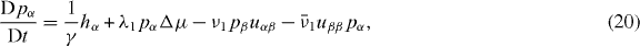 Equation (20)