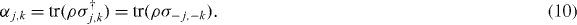 Equation (10)