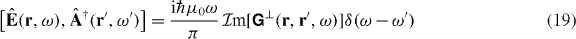 Equation (19)
