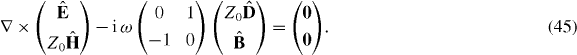 Equation (45)