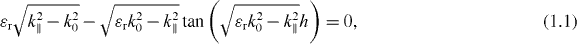 Equation (1.1)