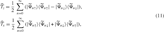 Equation (11)