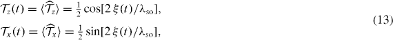 Equation (13)