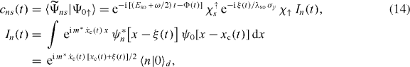 Equation (14)