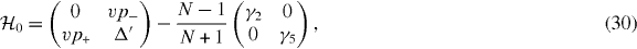Equation (30)