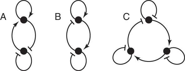Self Loop Dynamic Model Amplification without instability: applying fluid dynamical insights in ...