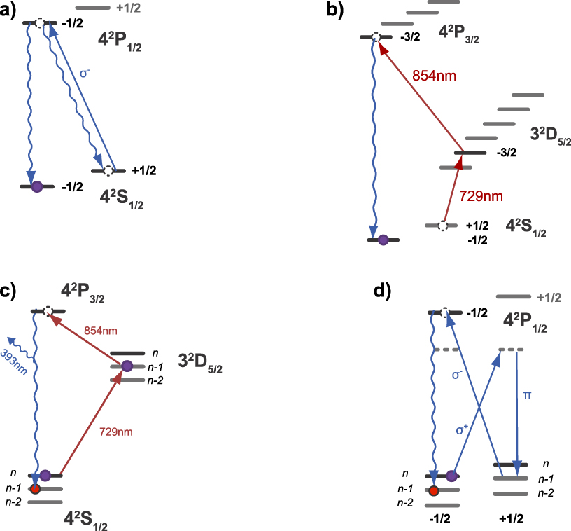 A quantum information processor with trapped ions - IOPscience