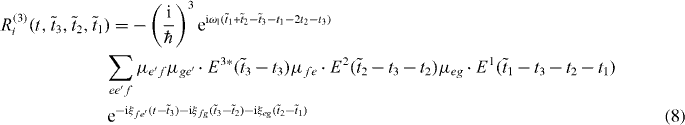 Equation (8)