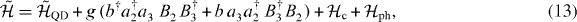 Equation (13)