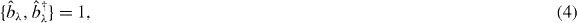 Equation (4)