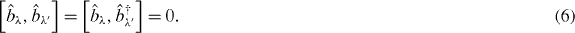 Equation (6)