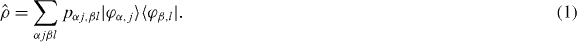 Equation (1)