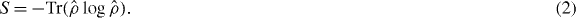 Equation (2)