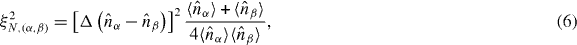 Equation (6)