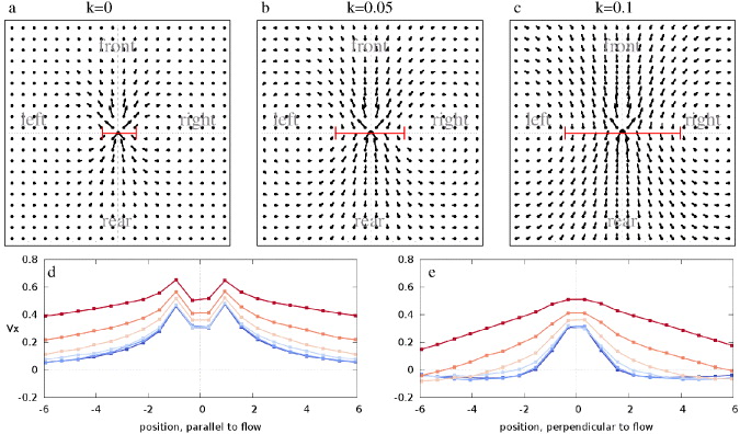 Vector For Cell Stream Collective cell streams in epithelial monolayers depend on cell ...