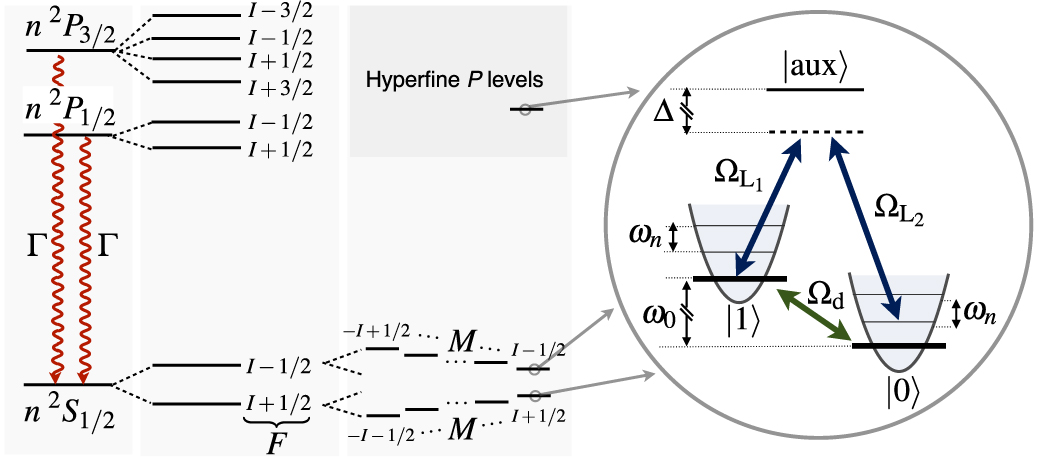 Driven geometric phase gates with trapped ions - IOPscience