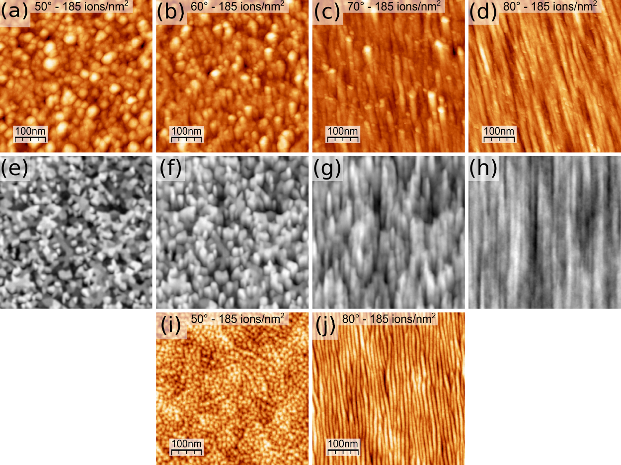Ion-induced roughening and ripple formation on polycrystalline metallic ...