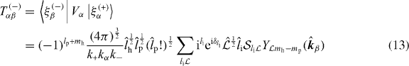 Equation (13)