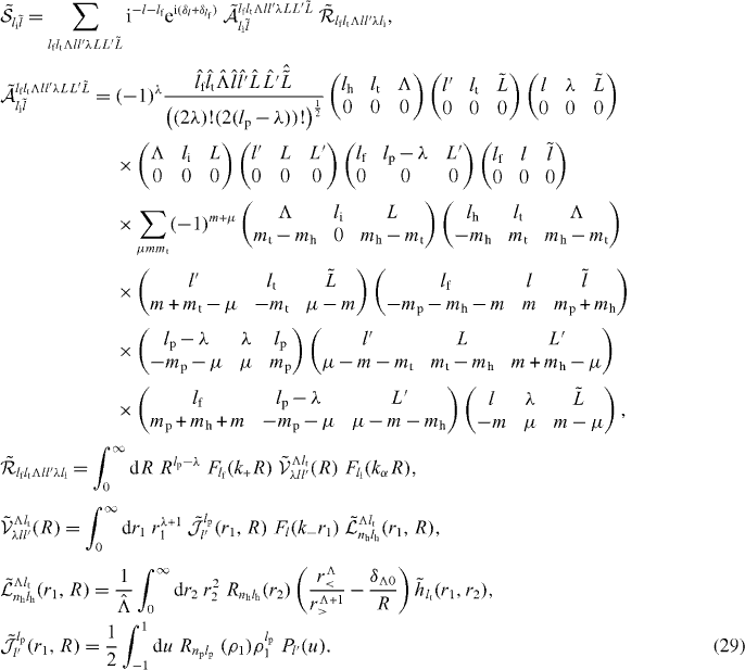 Equation (29)