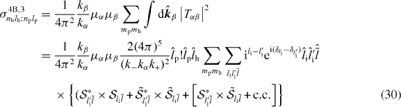 Equation (30)