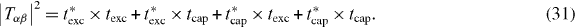 Equation (31)