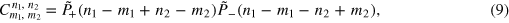 Equation (9)