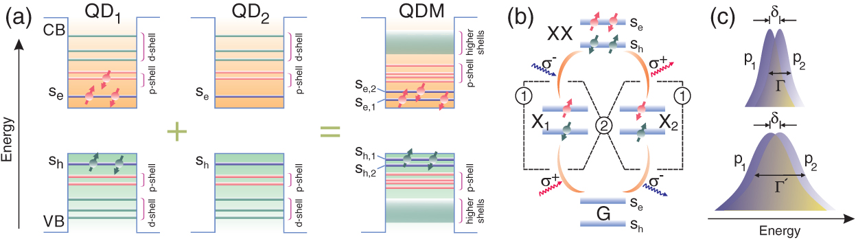 Toward tripartite hybrid entanglement in quantum dot molecules - IOPscience