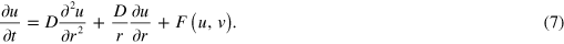 Equation (7)