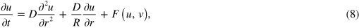 Equation (8)