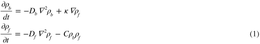 Equation (1)