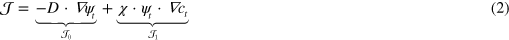 Equation (2)