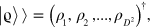 $\left| \varrho \right\rangle \rangle ={{\left( {{\rho }_{1}},{{\rho }_{2}},...,{{\rho }_{{{D}^{2}}}} \right)}^{\dagger }},$
