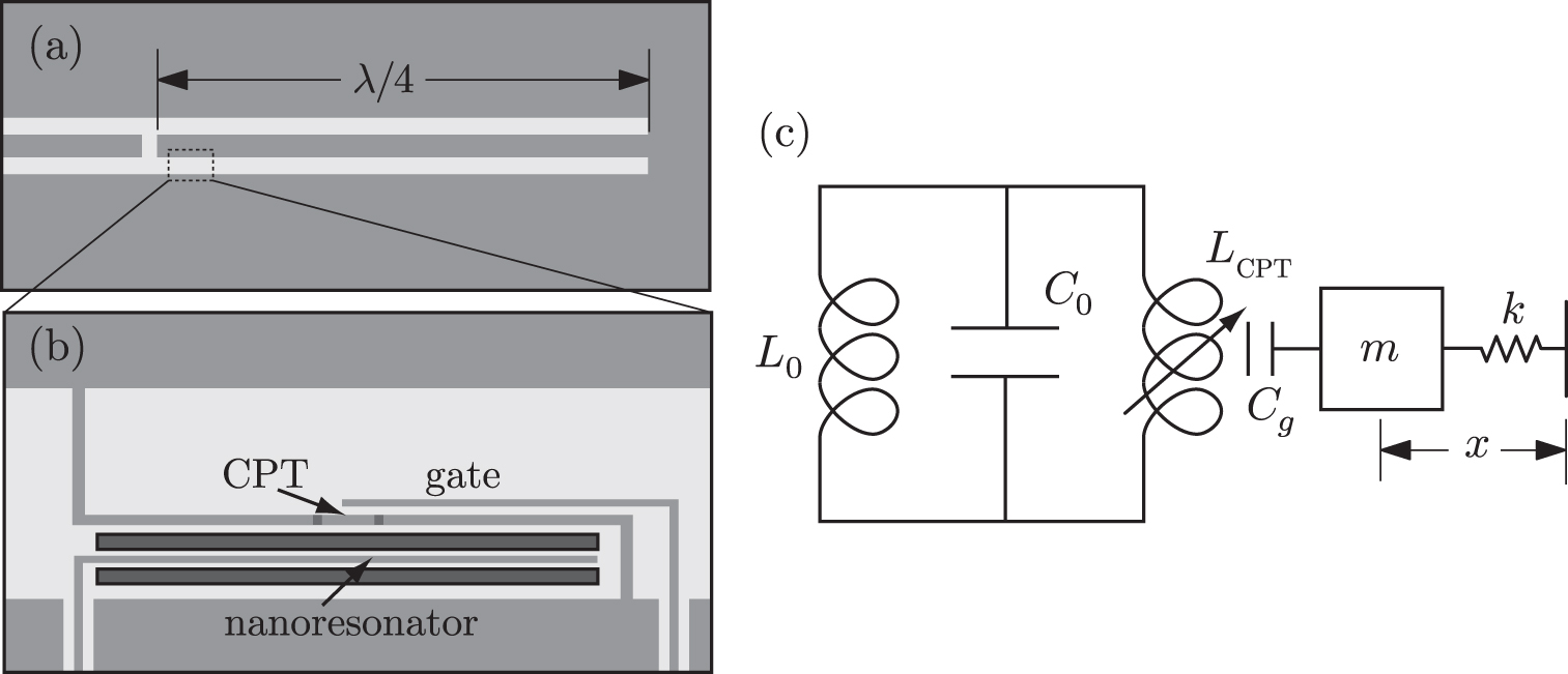 A cavity-Cooper pair transistor scheme for investigating quantum ...