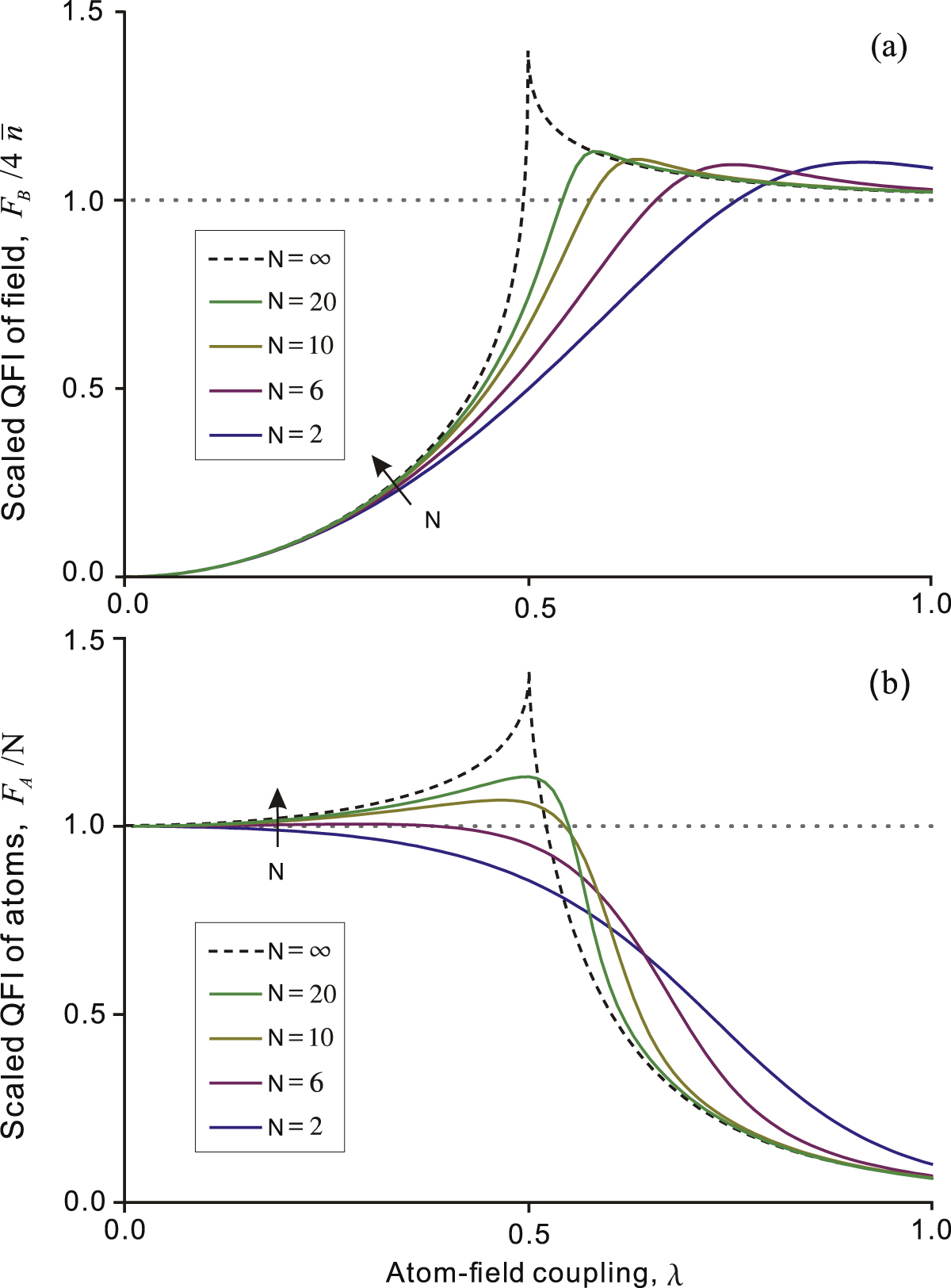 Quantum Fisher information as a signature of the superradiant quantum ...