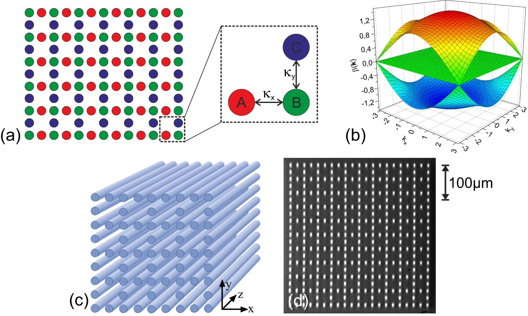 Experimental observation of bulk and edge transport in photonic Lieb ...